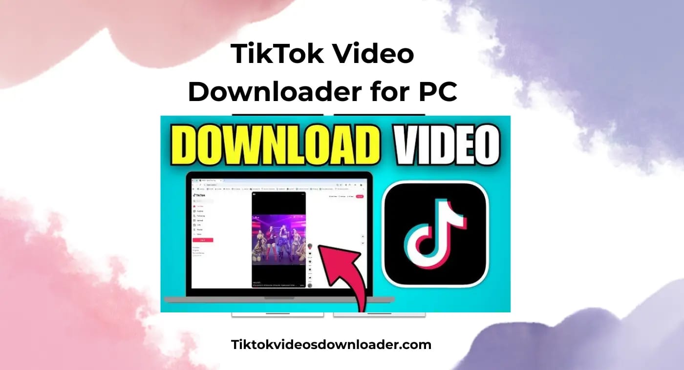 TikTok Video Downloader for PC desktop guide