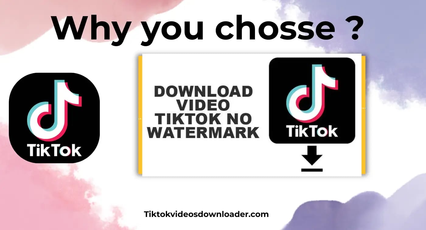 Why Choose TikTok Video Downloader - instant downloads, secure, free