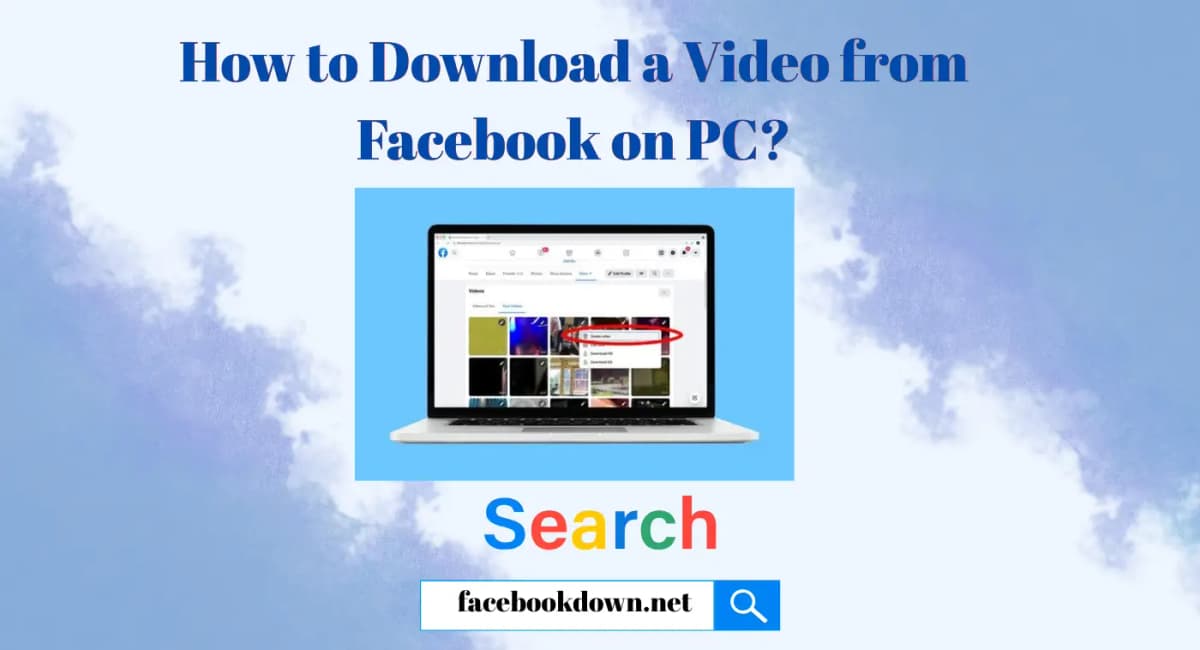 Download TikTok Videos on PC TikTok Video Downloader for PC desktop guide