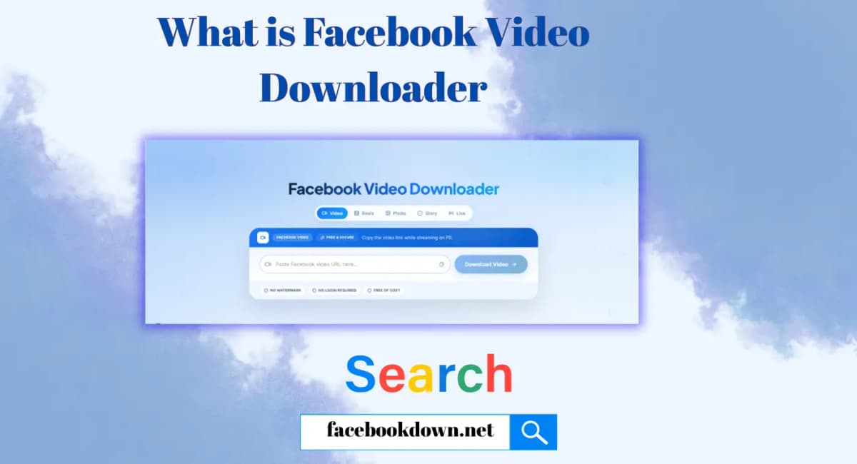 What is TikTok Video Downloader What is TikTok Video Downloader - save TT videos in HD without watermark